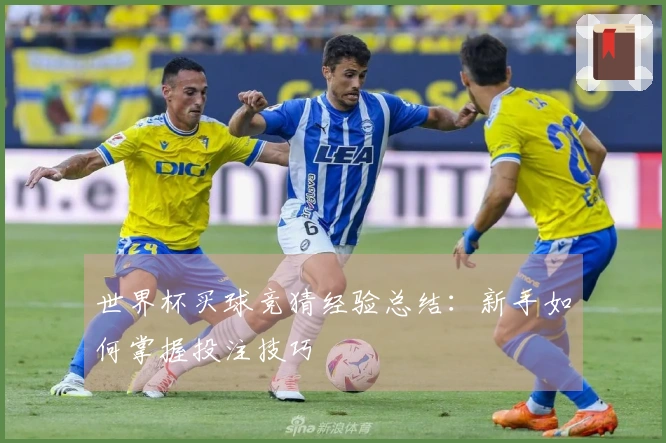 世界杯买球竞猜经验总结：新手如何掌握投注技巧