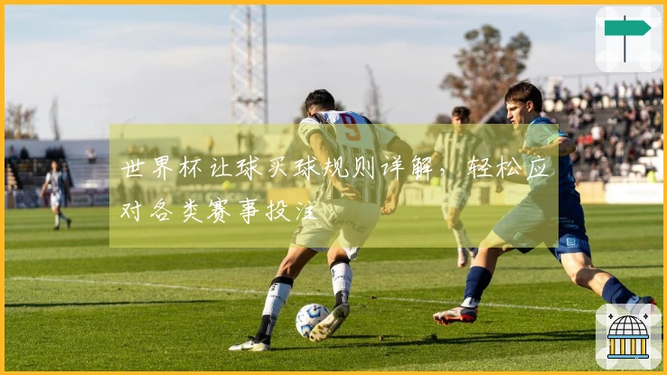 世界杯让球买球规则详解，轻松应对各类赛事投注