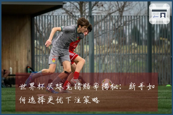 世界杯买球竞猜赔率揭秘：新手如何选择更优下注策略