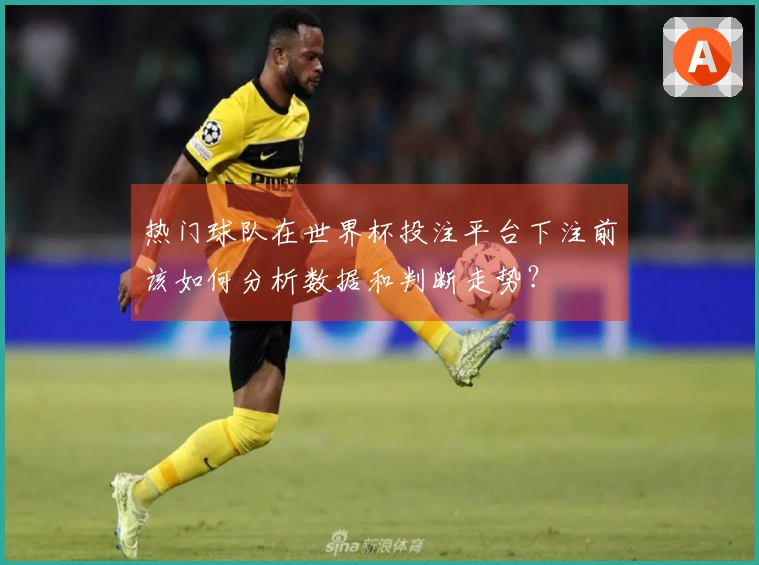 热门球队在世界杯投注平台下注前该如何分析数据和判断走势?