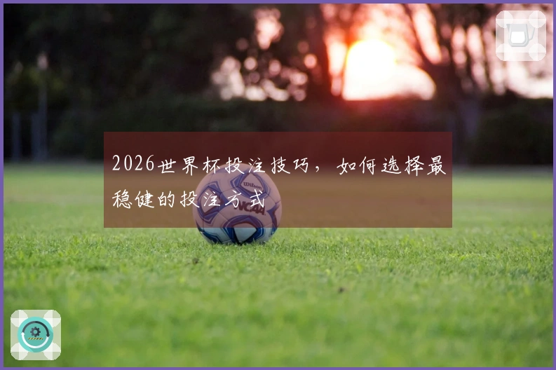 2026世界杯投注技巧，如何选择最稳健的投注方式