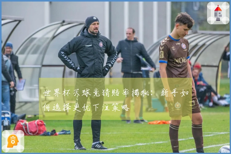 世界杯买球竞猜赔率揭秘：新手如何选择更优下注策略