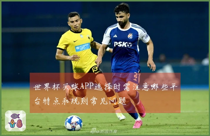 世界杯买球APP选择时需注意哪些平台特点和规则常见问题