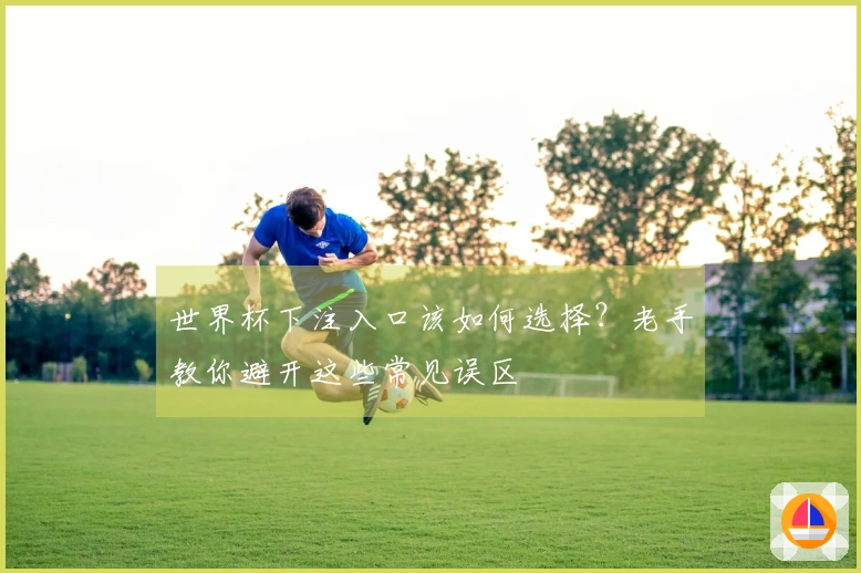世界杯下注入口该如何选择？老手教你避开这些常见误区