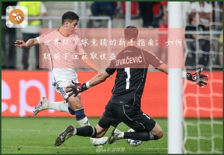 世界杯买球竞猜的新手指南：如何聪明下注获取收益
