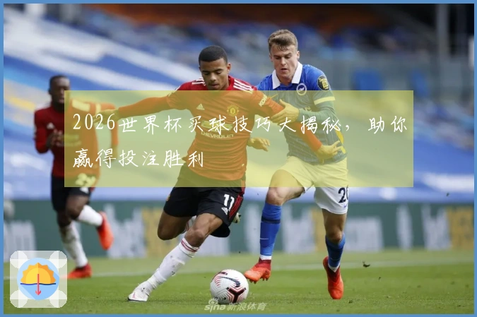 2026世界杯买球技巧大揭秘，助你赢得投注胜利